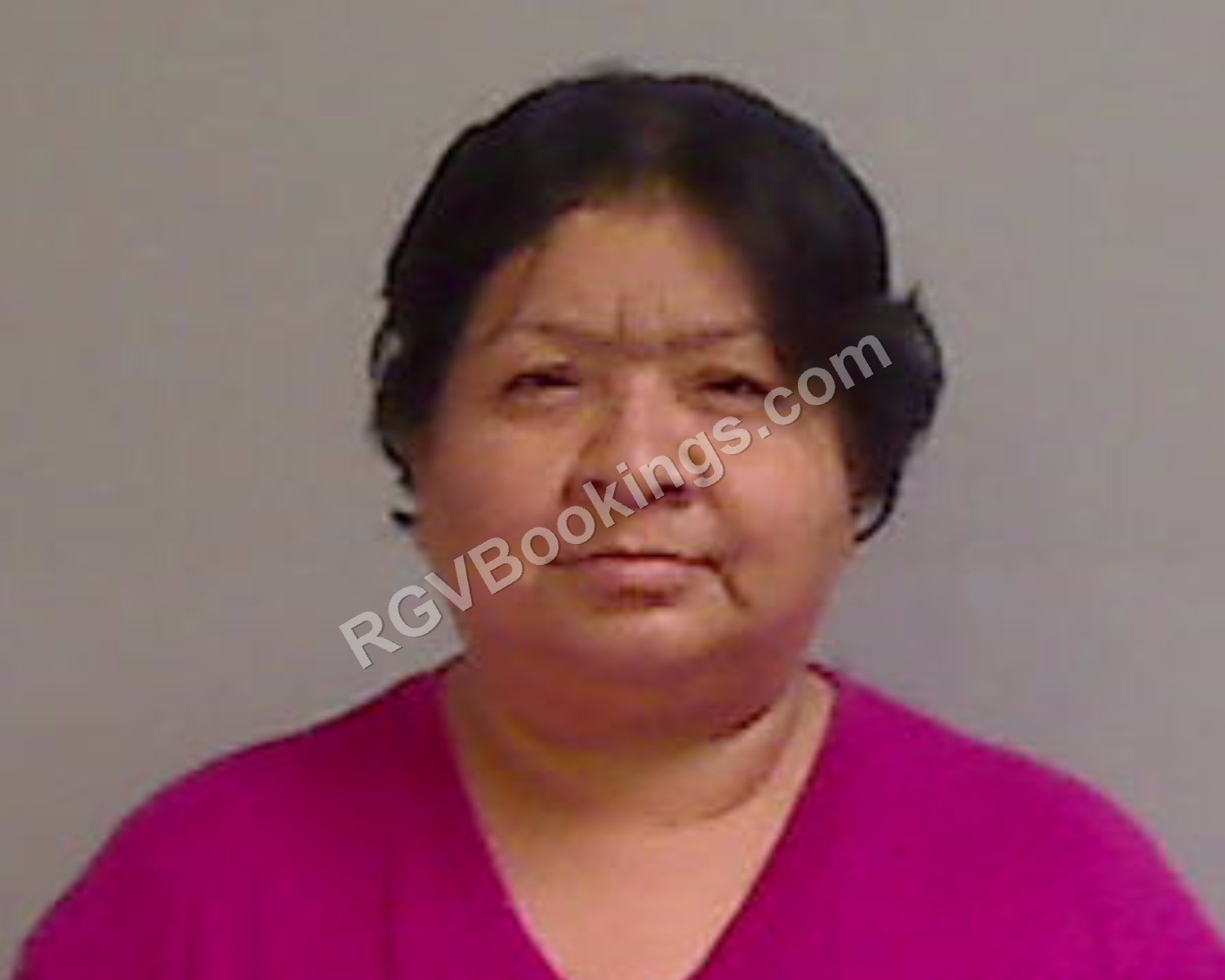 Barrera, Ana mugshot