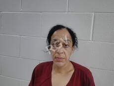 Turner, Allison mugshot