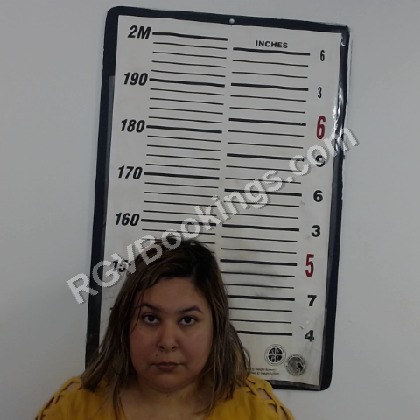 Villarreal, Jennifer mugshot